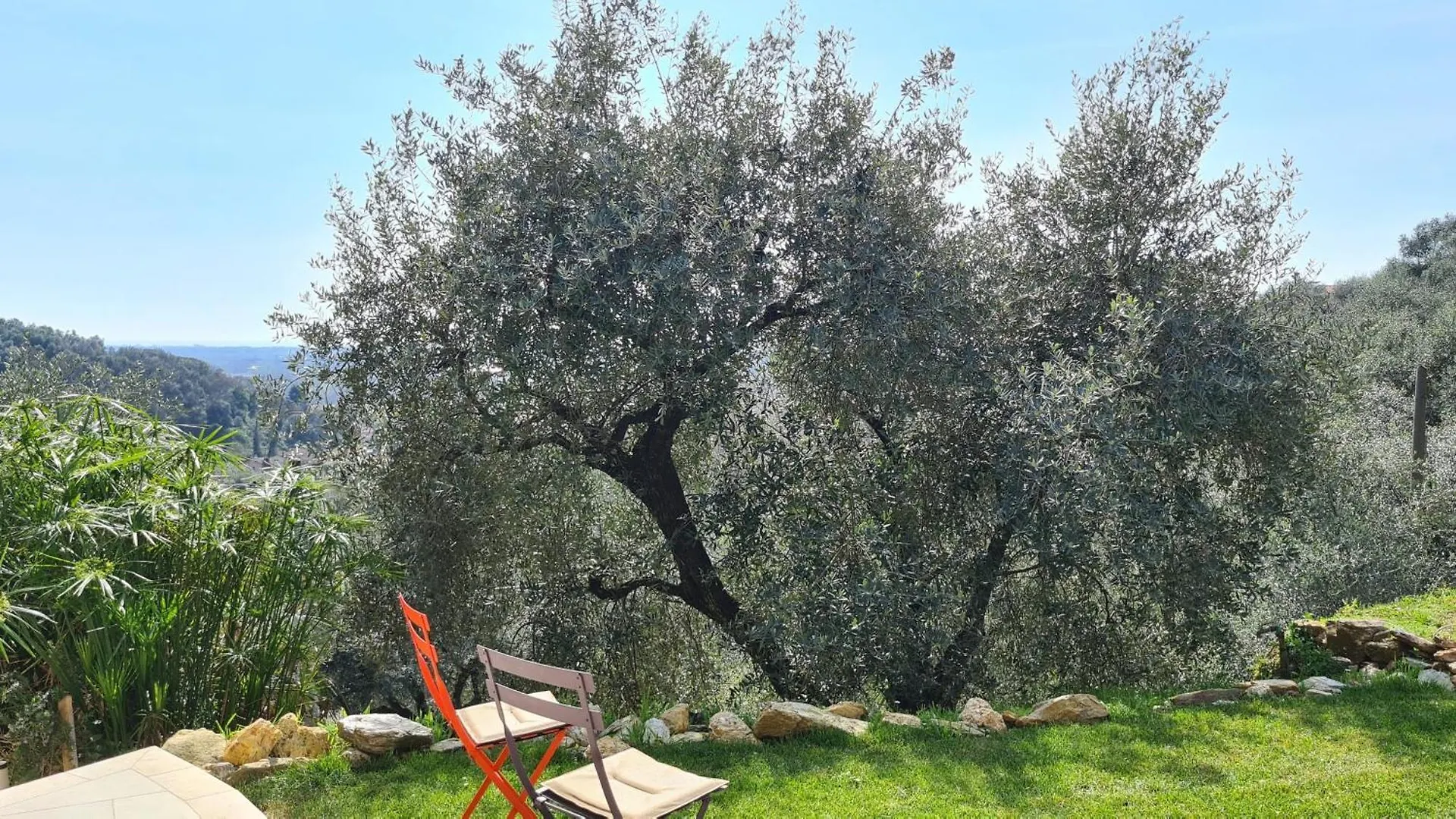 Villa Olivemare B&B Pietrasanta Bed & Breakfast