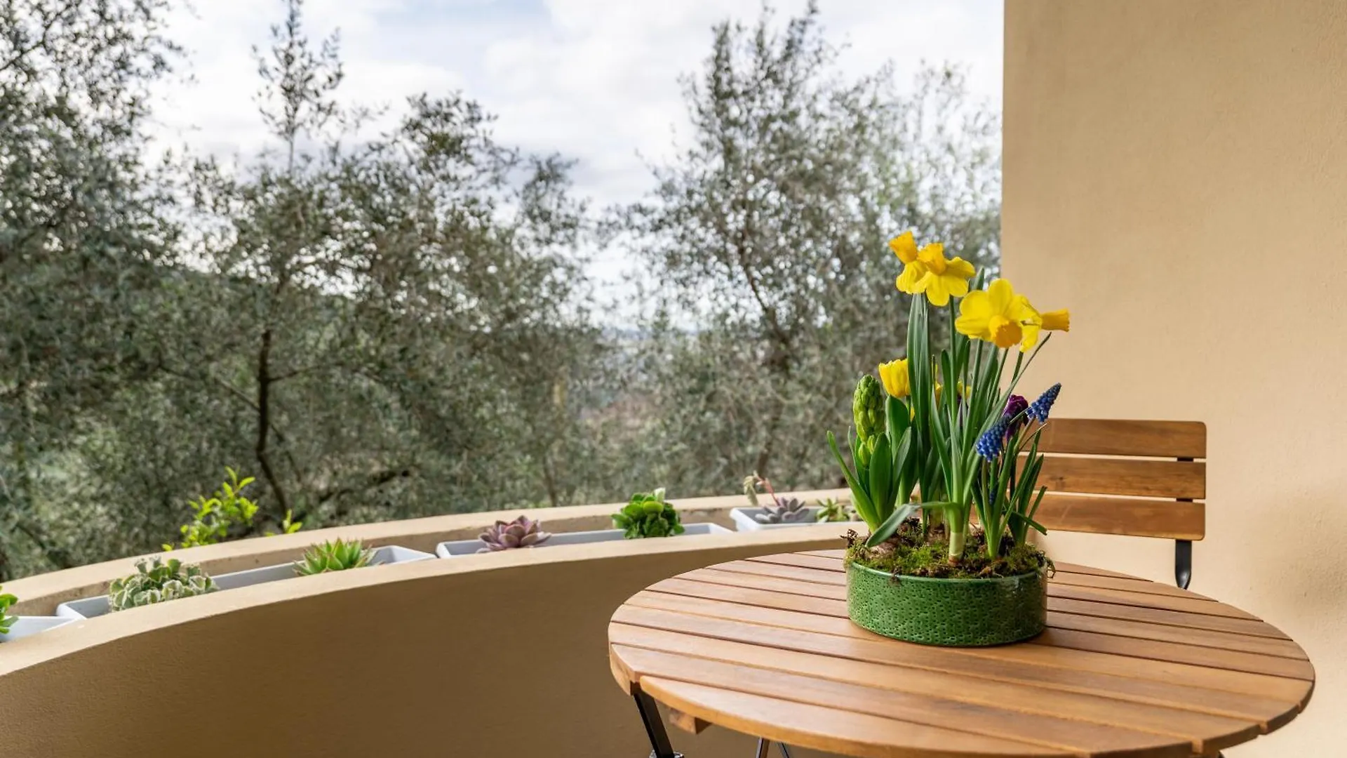 Villa Olivemare B&B Pietrasanta