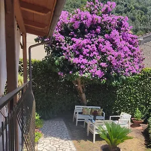 Appartement La Bouganville E Il Gelsomino, Pietrasanta